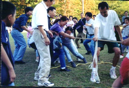 Tug-of-War 